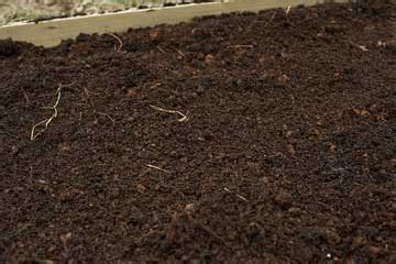 Fertile Loam Soil Suitable For Planting, Soil Texture Stock, 49% OFF