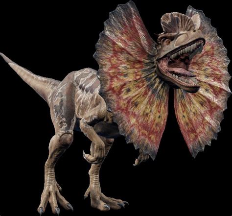 Dilophosaurus Facts：12 Points You Should Know About This Spitting Crested