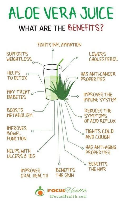 Aloe Vera Benefits: What Does Taking Aloe Vera Do for You? - PlantHD