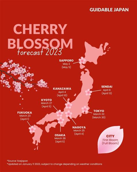 Hanami Season! Answering Your Top 5 Questions About Cherry Blossom ...