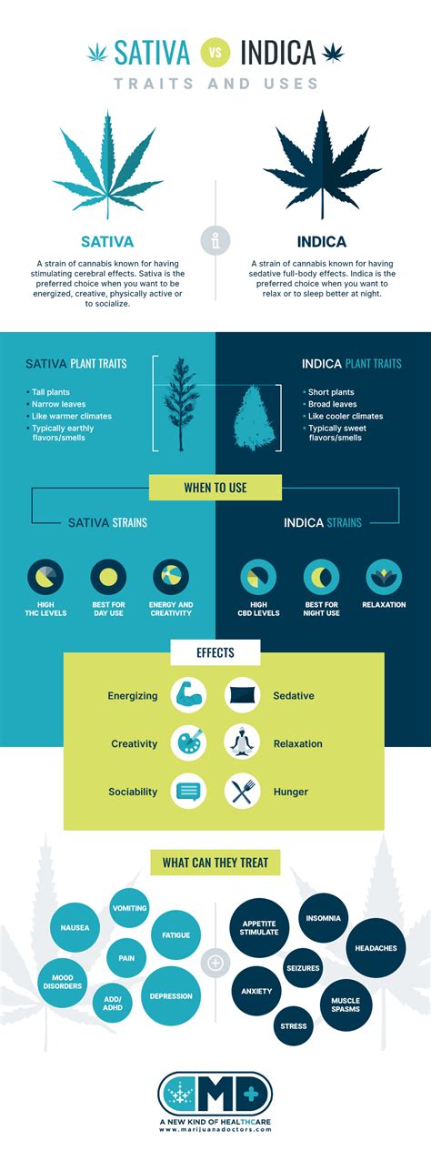 Indica vs. Sativa – Marijuana Doctors | Online Medical Card Directory