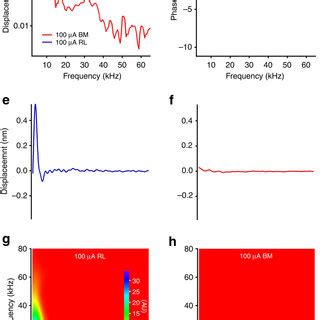 Electrically evoked reticular lamina and basilar membrane vibrations in ...