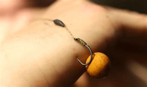 Simple Carp Rigs (Beginners Can Tie These Easily!) - Carp Squad