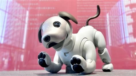 Sony starts sales of AI-equipped robot dog Aibo