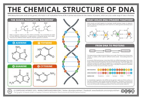 Compound Interest - biology