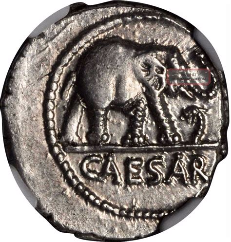 Julius Caesar 49bc Elephant Serpent Ancient Silver Roman Coin Ngc Ch Au ...