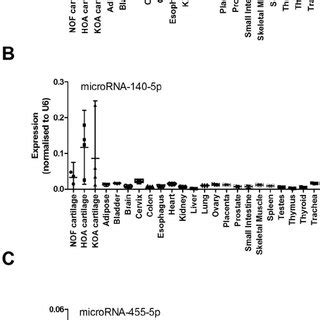 MicroRNA expression across a human tissue panel. Expression levels of ...