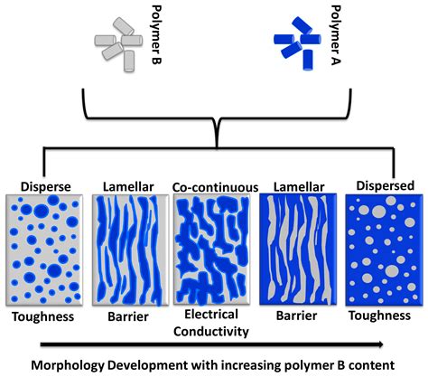 Polymers | Free Full-Text | Morphology Evolution, Molecular Simulation ...