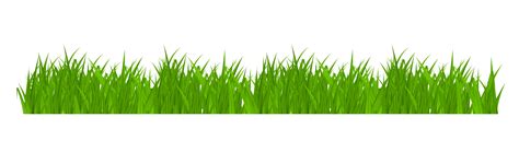 Grass Vector Png