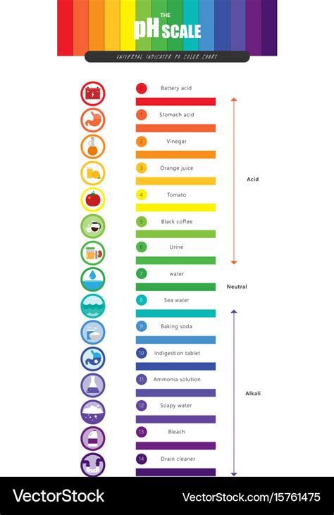 Ph scale universal indicator color chart Vector Image