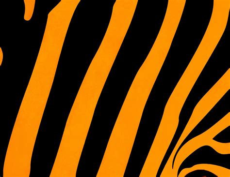 Tiger Print Wallpapers - Top Free Tiger Print Backgrounds - WallpaperAccess