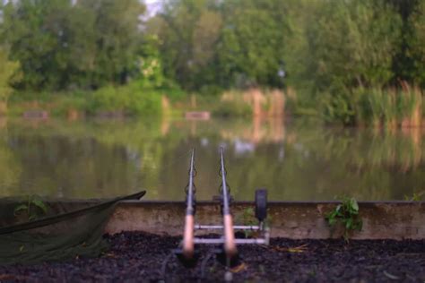 Somerset Carp Fishing Lakes Near Me - Discover The Best Fishing Spots