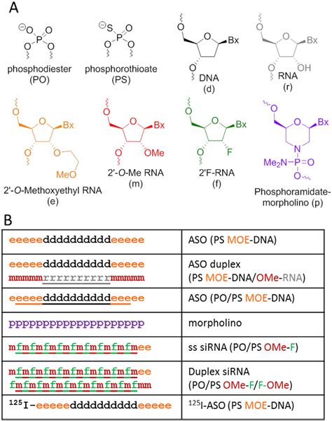 Illustration of antisense oligomers (ASO) and morpholinos. (A) Detailed ...