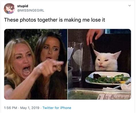 'Woman Yelling At A Cat' is Derived From Two Popular Memes