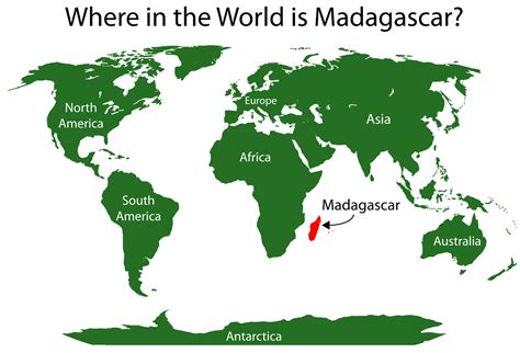 Episode 1 Field Guide: Finding fossils in Madagascar - Past Time Paleo