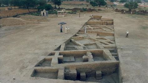 Why are we digging Rakhigarhi a 9th time? This Harappan site is a gift ...