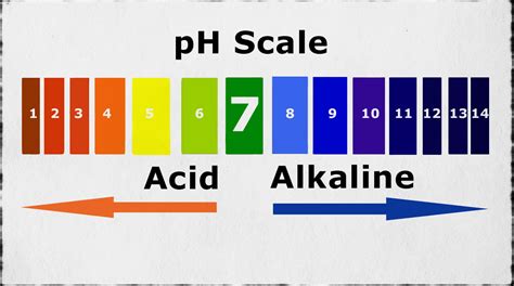 Ph Scale Acid And Alkali