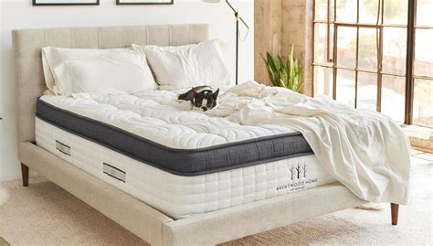 Bamboo mattress - why use bamboo fibers in a mattress?