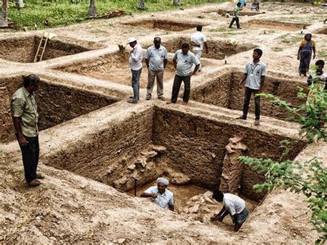 Harappa-like Site Surfaces in Tamil Nadu; 3,000 Ancient Artifacts Found