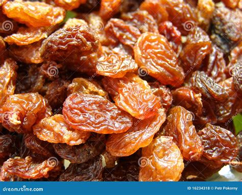 Sultana raisins stock photo. Image of brown, background - 16234318