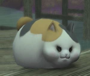 Fat Cat - Final Fantasy XIV Online Wiki - FFXIV / FF14 Online Community ...