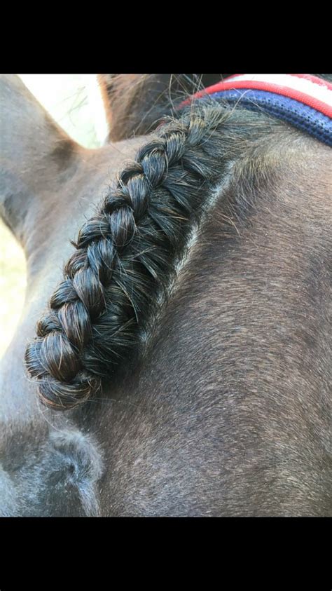 Forelock braid | Horse braiding, Horse mane braids, Braids