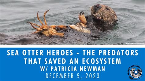 Sea Otter Heroes - The Predators that Saved an Ecosystem - YouTube