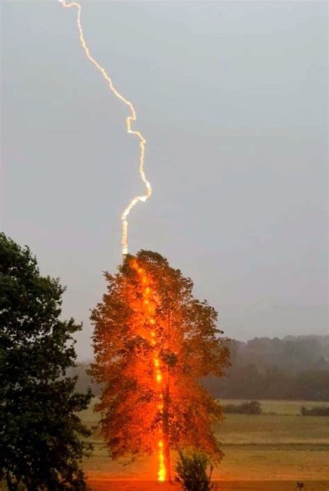 a lightning bolt hitting through the sky above a tree in an open field ...