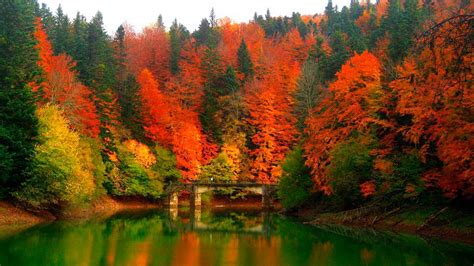 Los 5 mejores parajes naturales para disfrutar del otoño en España