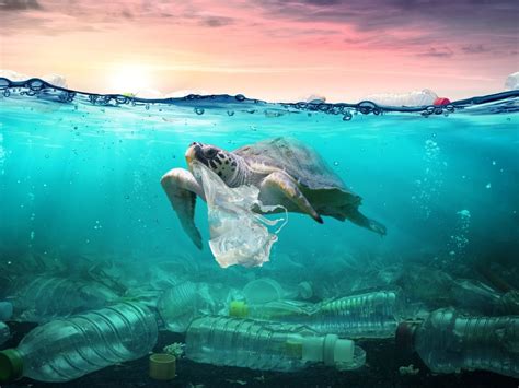 Aliran Sampah Plastik ke Laut Bisa 3 Kali Lipat pada 2040 | diedit.com