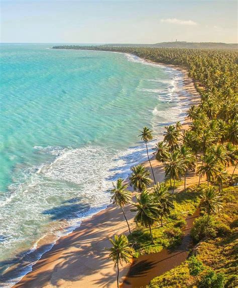 Japaratinga Beach in Alagoas Brazil (Paradise) l #PageVibe Salinas ...