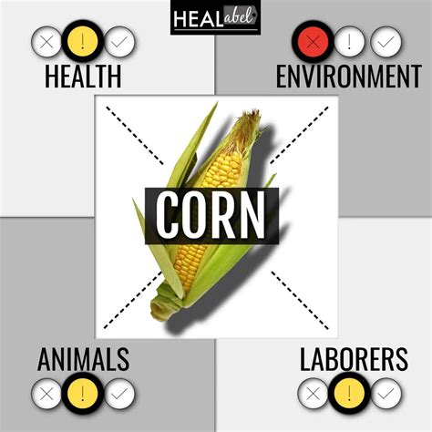 Corn Benefits, Side Effects: Is Corn Low Fodmap? Sustainable?