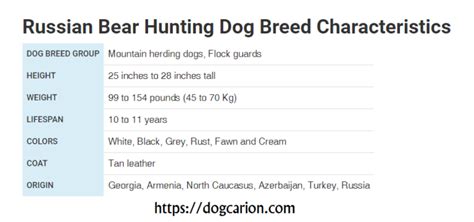 Russian Bear Dog - 29 Untold Secrets To Caucasian Shepherd Mastering