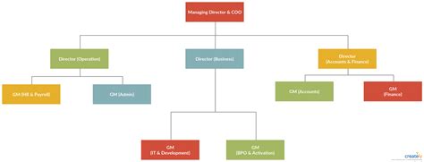 Company Organogram - Editable Template