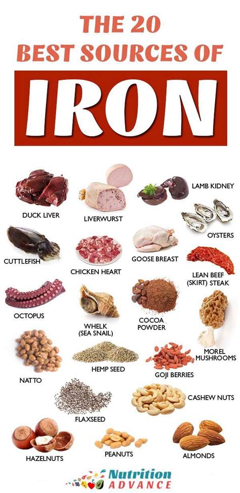 30 Foods High In Iron | Foods with iron, Foods high in iron, Iron rich ...