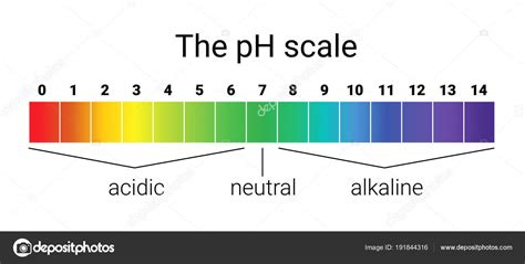 Ph Scale Acids And Bases