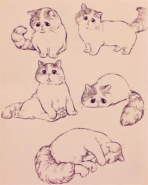 Cute Fluffy Cat Drawing Easy - Dogs And Cats Wallpaper