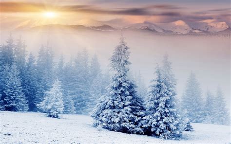 nature, Landscape, Winter, Snow, Mountain, Forest Wallpapers HD ...