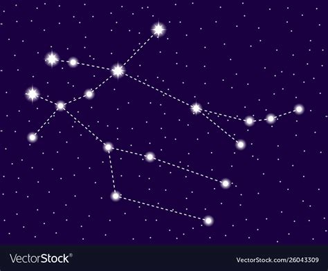 Gemini constellation starry night sky Royalty Free Vector