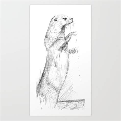 River Otter Sketch at PaintingValley.com | Explore collection of River ...