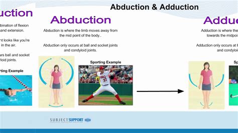 This Image Shows Some Examples Of The Movements Of Joints