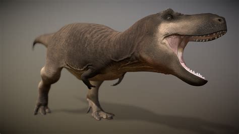 Tyrannosaurus Rex - 3D model by Jay Qui (@JayQui) [d44914f] - Sketchfab