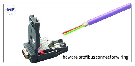 how are profibus connector wiring? - wirefaren