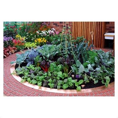 My future vegetable garden shall be circular! | Veg garden, Garden ...