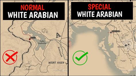 One & Only Special White Arabian Horse That 99% Players Missed - RDR2 ...