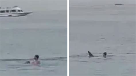 Horrifying Video Shows Man Killed in Shark Attack Off Coast of Egypt’s ...