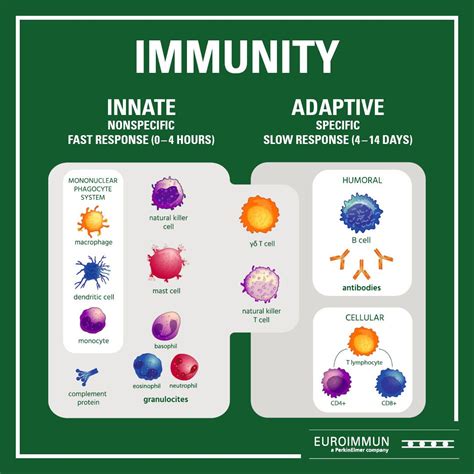 Testing Host Immune Responses and Transmissibility