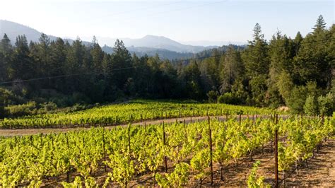 This Napa mansion has its own Cabernet vineyard