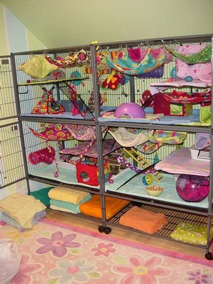 ultimate rat cages - Google Search | Rat cage, Rat cage accessories ...