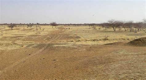 The Sahel, desertification beyond drought